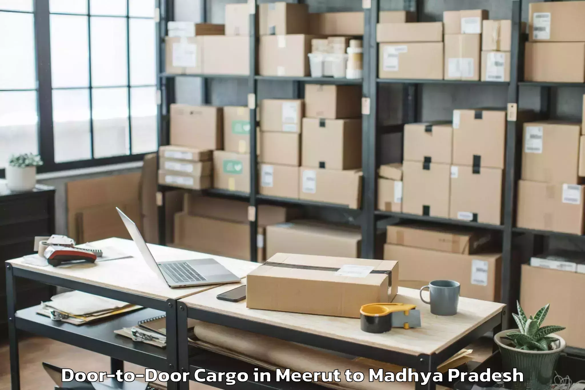 Meerut to Kalapipal Door To Door Cargo Booking